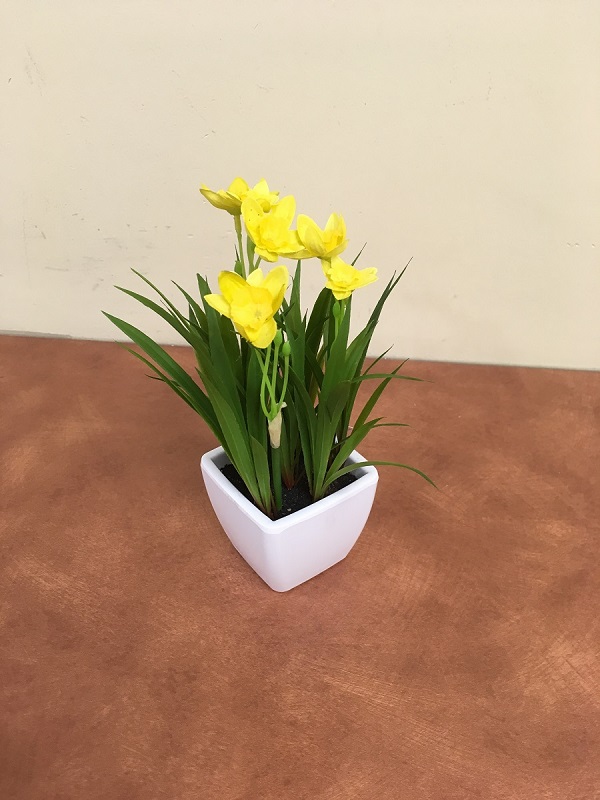 Yellow daffodils in a white pot